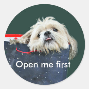 Sticker Rond Don de Noël Shih Tzu