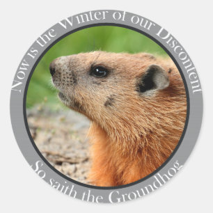 Sticker Rond Donc dit le marmotte