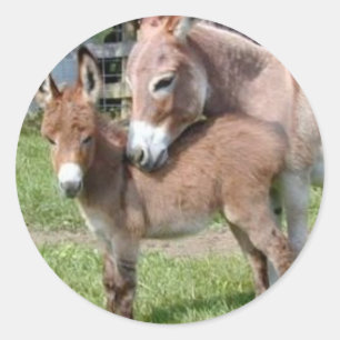 Sticker Rond Donkey et Baby