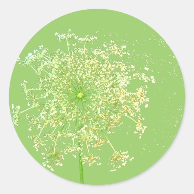 Sticker Rond Dons et faveurs de dentelle de la reine Anne (Devant)