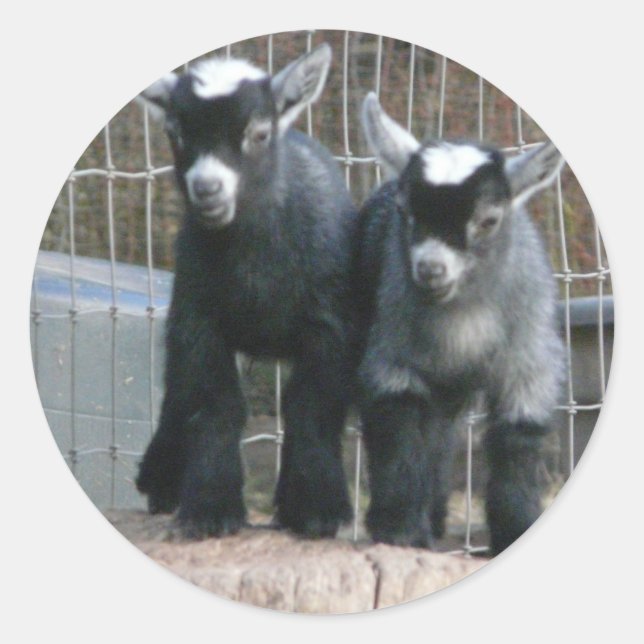 Sticker Rond Double problème (Devant)