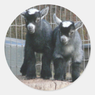 Sticker Rond Double problème