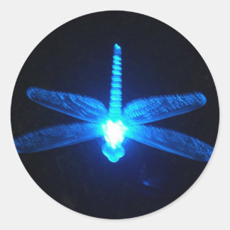 Sticker Rond Dragonfly