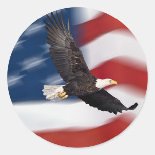 Sticker Rond Drapeau américain et aigle