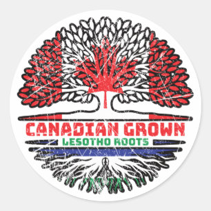 Sticker Rond Drapeau canadien des racines d'arbre du Canada Les