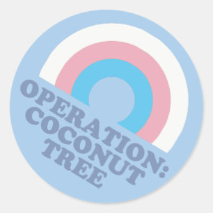 Sticker Rond Drapeau de fierté transgenre du cocotier de Kamala