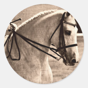 Sticker Rond Dressage Grunge