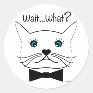 Sticker Rond Drôle Attends...Quoi ? Chat croisé, Cool