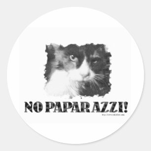 Sticker Rond Drôle aucun chat de paparazzi