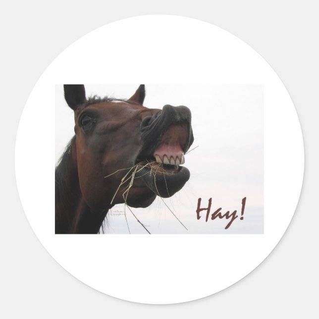 Sticker Rond Drôle Cheval : foin ! (Devant)