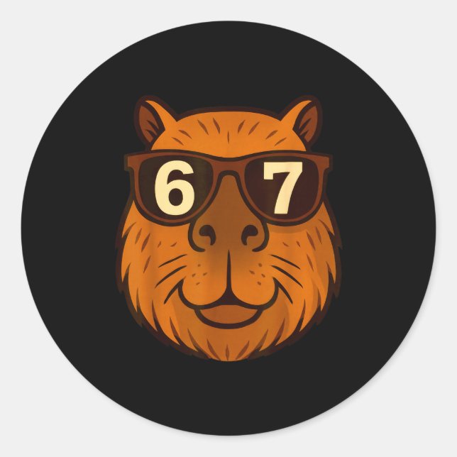 Sticker Rond Drôle de capybara Sungles 67 Six Sept Mème  (Devant)