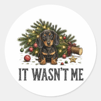 Sticker Rond Drôle de Dachshund Noël Ce n'était pas moi