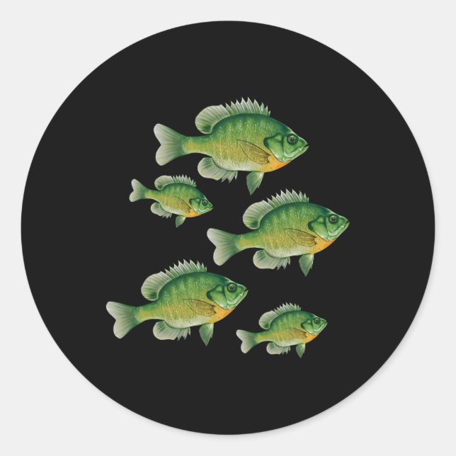 Sticker Rond Drôle de poisson-castor soleil pêche poisson d'eau (Devant)