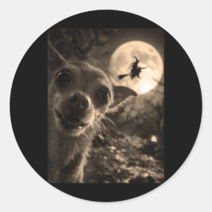 Sticker Rond Drôle de selfie de Chihuahua Sorcière volante plei