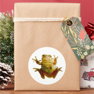 Sticker Rond Drôle Grenouille Froggie Toad 4Fred