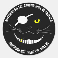 Drôle Pirate Chat Souriant Avec Un Patch Oeil