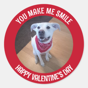 Sticker Rond Drôle Saint Valentin, tu me fais sourire chien