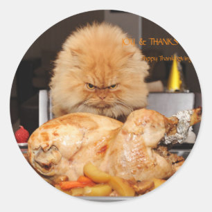 Sticker Rond Drôle Thanksgiving Chat