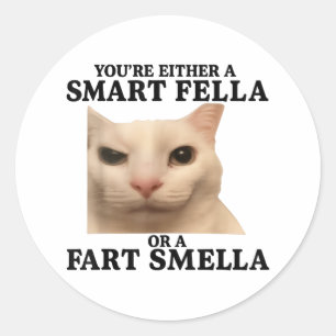 Sticker Rond Drôle Vous Avez Soit Une Fella Intelligente Soit U