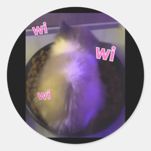Sticker Rond Drôle Wi Wi Wi Wi Chat Kitten Manger Mème Gen Z Hu