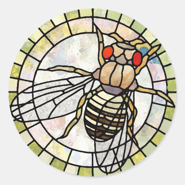 Sticker Rond Drosophila (Devant)