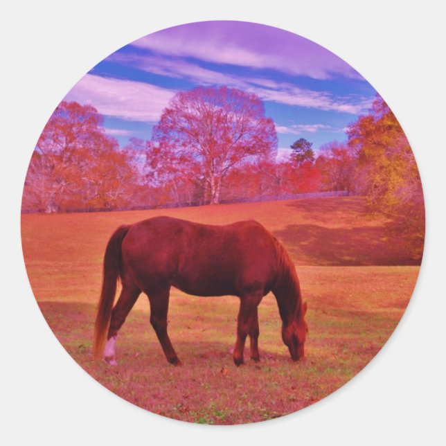 STICKER ROND DSCF0536.JPG (Devant)