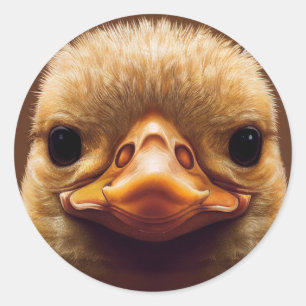Sticker Rond Duck Life Like Portrait Beak with Yellow Feathers