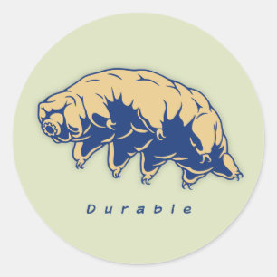 Sticker Rond Durable - Tardigrade