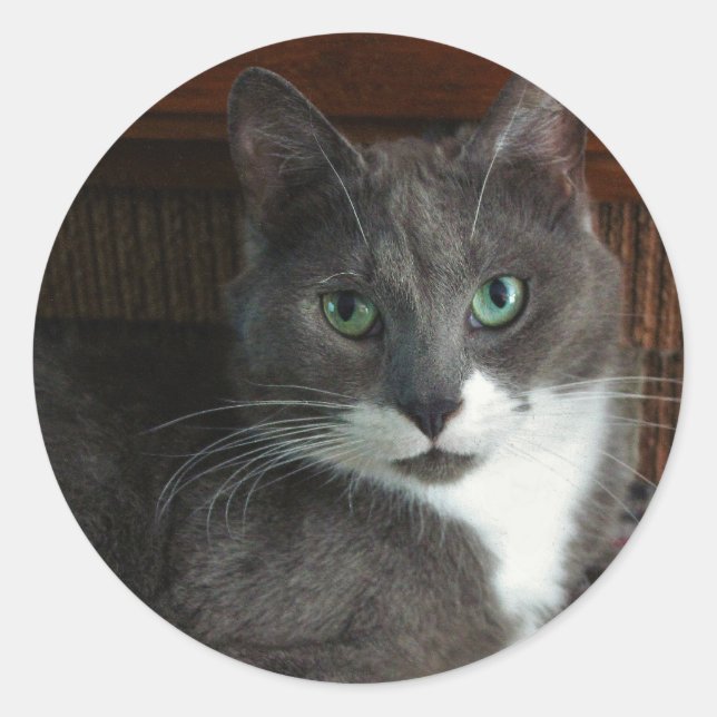 Sticker Rond Dusty (Devant)