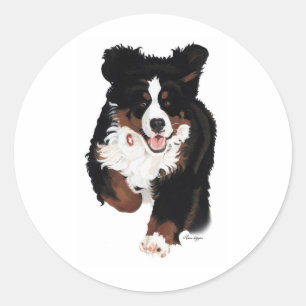 Sticker Rond Dylan Rocks