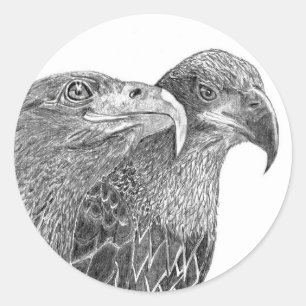 STICKER ROND EAGLES HARRIET + M FLURRY OF FEATHERS AMIS