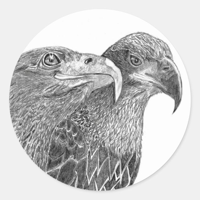 STICKER ROND EAGLES HARRIET + M FLURRY OF FEATHERS AMIS (Devant)