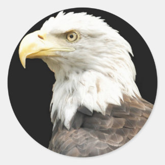 Sticker Rond Eagles Stare