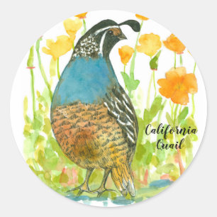 Sticker Rond Eau de caille d'oiseaux de Californie