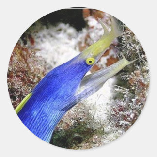 Sticker Rond Eau de ruban