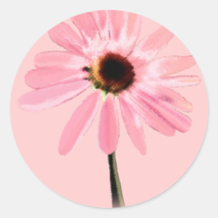 Sticker Rond Echinacea purpurea