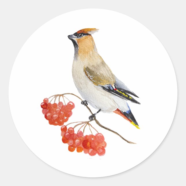 Sticker Rond Écirage d'oiseaux de la forêt d'aquarelle (Devant)