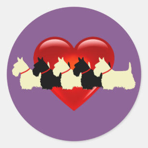Sticker Rond Écossais Terrier noir/blanc coeur rouge / col