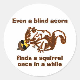 Sticker Rond Écureuil aveugle