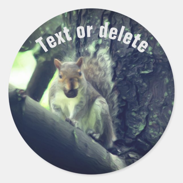 Sticker Rond Écureuil dans l'arbre L'art animal personnalisé (Devant)