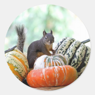 Sticker Rond Écureuil d'automne