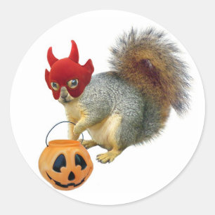 Sticker Rond Écureuil de des bonbons ou un sort