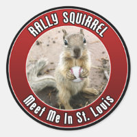 Écureuil de rallye - Louis, Missouri