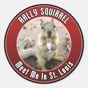 Sticker Rond Écureuil de rassemblement - Louis, Missouri