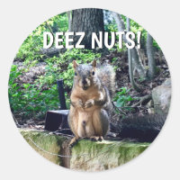 Écureuil Drôle Deez Nuts Humour Inapproprié Photo