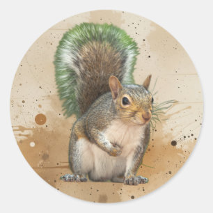 Sticker Rond Écureuil Gris Mignon Animal Faune Nature
