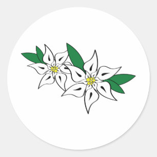 Sticker Rond Edelweiss