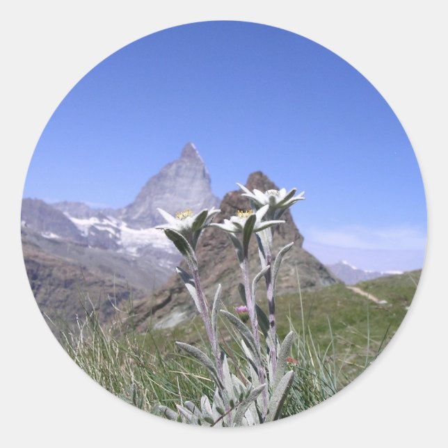 Sticker Rond Edelweiss et Matterhorn (Devant)