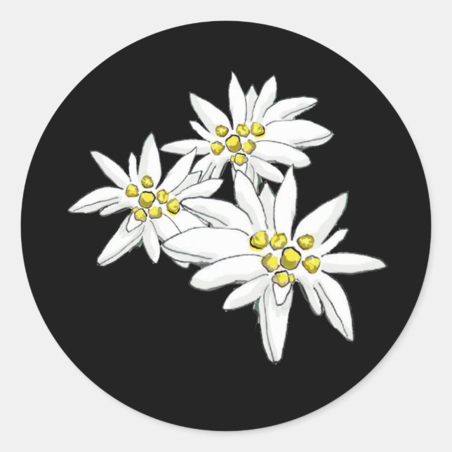 Sticker Rond Edelweiss Son de la musique Alpine Floral Noir (Devant)