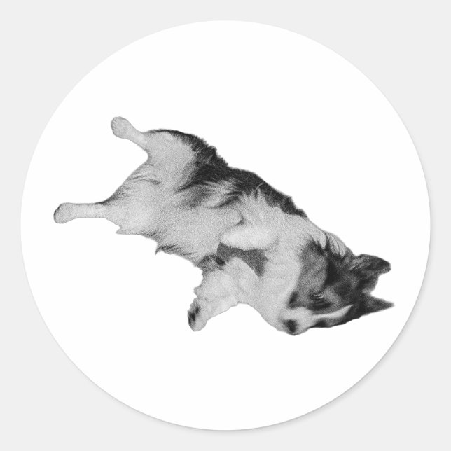 Sticker Rond Effet de confiance (Devant)